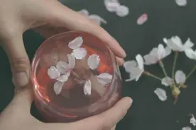 你知道樱花做成美食，即养眼又美味吗图片