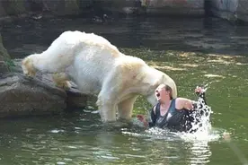 他对着玻璃后面的北极熊做伏地挺身，没想到它的爆笑反应太可爱了图片
