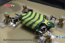 烧脑的仿生“壁虎机器人”，让你意想不到的逼真视频封面