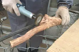 棒槌一样的崖柏，经过师傅巧手打磨之后颜值倍增啊！图片