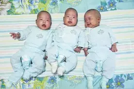 新加坡爸爸落跑，中国妈妈生的三胞胎，咋整？图片