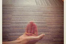 百变魔术|见证奇迹的时刻图片