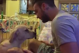 狗狗犯错被主人骂，它使浑身解数来道歉，最后举动让主人瞬间心软图片