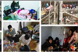 揭秘那些漂泊在外的“鼠族”生活：真的想做只宠物狗可以见光！图片