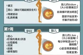 一张图读懂孕早期孕妇及胎儿每周变化图片