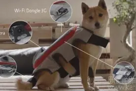 智能外套能自拍？汪星人利用智能外套记录开心瞬间图片