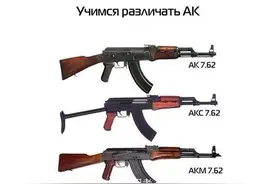 AK系列步枪，你认识几种图片