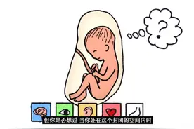 宝宝在妈咪肚子里会大小便吗？如果会，那排泄物要自己吃掉吗？图片