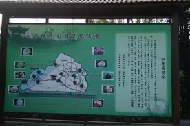 临汾“牡丹园”开园  市民争睹天香国色图片