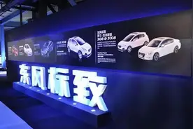 “升蓝”之后怎么玩儿？东风标致新品牌计划初露端倪图片
