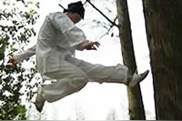 一个道士的轻功   跨越8人脊背   飞上数米高墙！图片