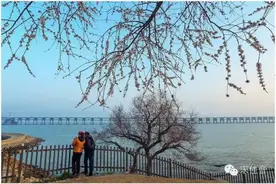 大连四月：面朝大海 春暖花开图片