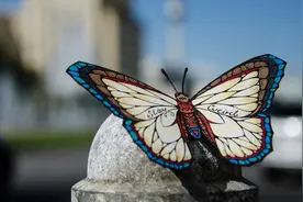 拒绝捕杀蝴蝶做标本，老外手工制作蝴蝶留住美丽图片