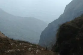 太行山上惊现300多斤崖柏，好几个人才扛得动！差点命葬悬崖！图片