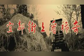 宜都街上看稀奇图片