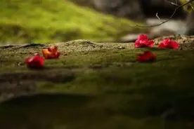 你看见十字路口发传单的阿姨，咋想的？都谈谈看法图片