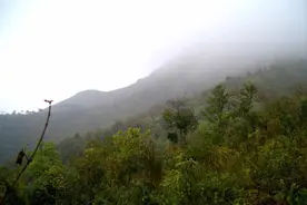 高州景色之谢牛岭图片