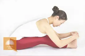 瑜伽四式护您安稳过冬图片