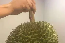 长柄榴莲and山竹图片