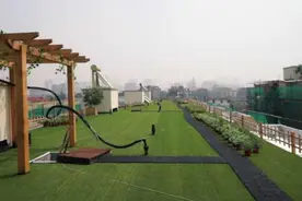 杭州小区楼顶现“最牛空中花园”