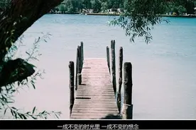 一见如故 再见陌路图片