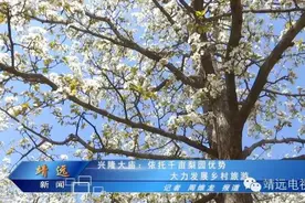 兴隆大庙：依托千亩梨园优势  大力发展乡村旅游图片