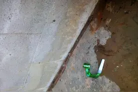 女童捉住巨大蚯蚓，看的我惊呆了！图片