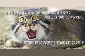 夏天孩子穿搭哪些衣物更舒适图片