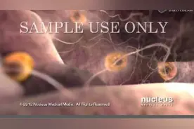 实拍3D画面展示女人排卵全过程，太震撼了！视频封面