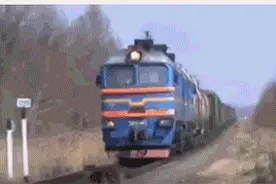 狗狗的世界  萌翻和逗笑你了吗图片