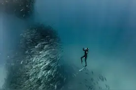 墨西哥海域现鱼群海洋龙卷风漩涡：没想到下一秒竟如此惊叹图片