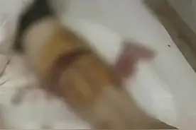 猛犬半小时连咬三人！但其实这些地方不能养大型犬图片