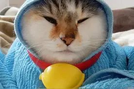 来自日本的铃铛让你一秒变哆啦A梦！图片