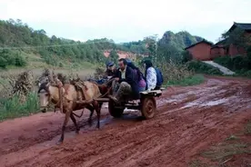 浓浓的武定乡土情图片