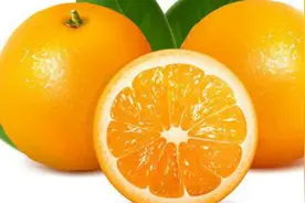 定格动画--橘子的前世今生视频封面