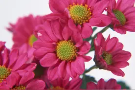 手机号码尾号是啥，用的越久越吉利事业成功财富惊人爱情甜蜜幸福图片