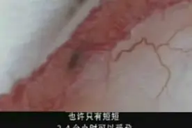 实拍女人排卵全过程，真的是太震撼了！