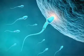 怎样做容易生儿子，要做什么孕前准备？图片
