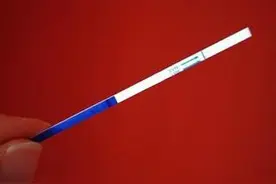 试纸一分钟辨别胎儿性别图片