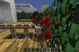 我的世界Minecraft：这是一个可怕的模组！屠夫Craft！