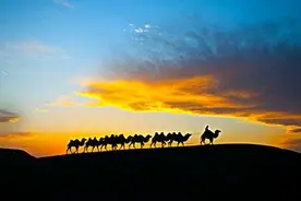 网站运营总监具备的五大能力要求!图片