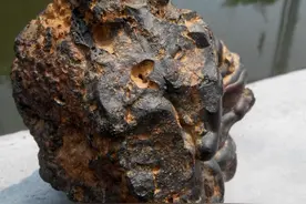 佛山市民山上捡到数块陨石 专家：价值数十万图片