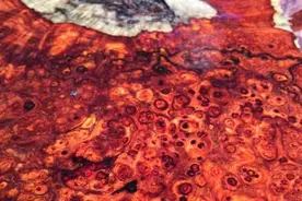 小叶紫檀的瘿子如痴如醉！竟然如此美！图片