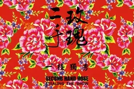 今天为你们解说：二手玫瑰到底什么鬼？图片