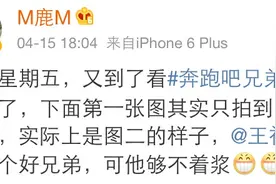 跑男伐木累感情到底怎么样？友情的小船说翻就翻都是鹿晗的错？图片