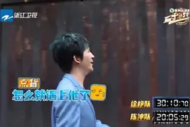 大张伟综艺霸屏 是观众买账还媒体捧的？图片