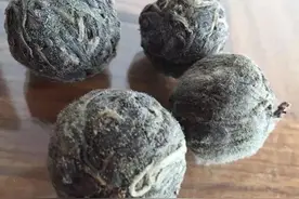 6斤普洱茶龙珠，才半年竟全部长毛，怎么回事？图片
