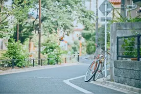 还记得，那年夏天图片