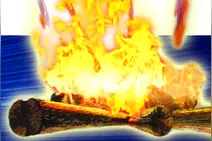 众创空间·奇思妙想：自动铺膜机图片