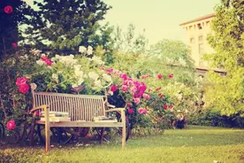 玫瑰珠宝 | roseonly花枝戒指，让我做你最勇敢的爱情骑士图片